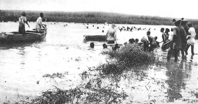 Crossing the Bahr el Gell river on the Court Treatt expedition